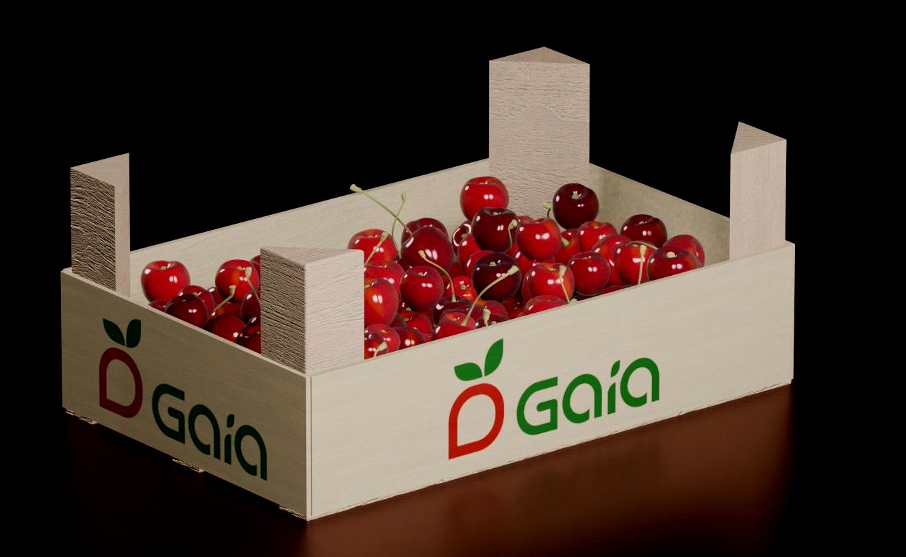 we produce and distribute: cherries, plums and the sweetest variety of Moldova grapes