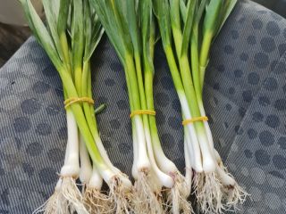 Sale of tender garlic, It will only be sold