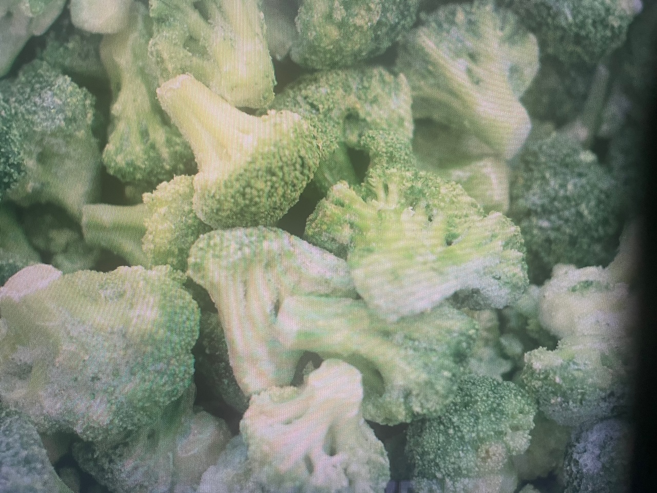 120 containers of 350 kg net of frozen broccoli