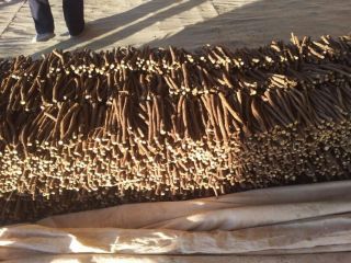 Licorice root 1 ton price 850$ Legumes and spices.