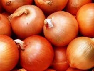 WE ARE A COMPANY SPECIALIZED IN GROWING AND EXPORTING