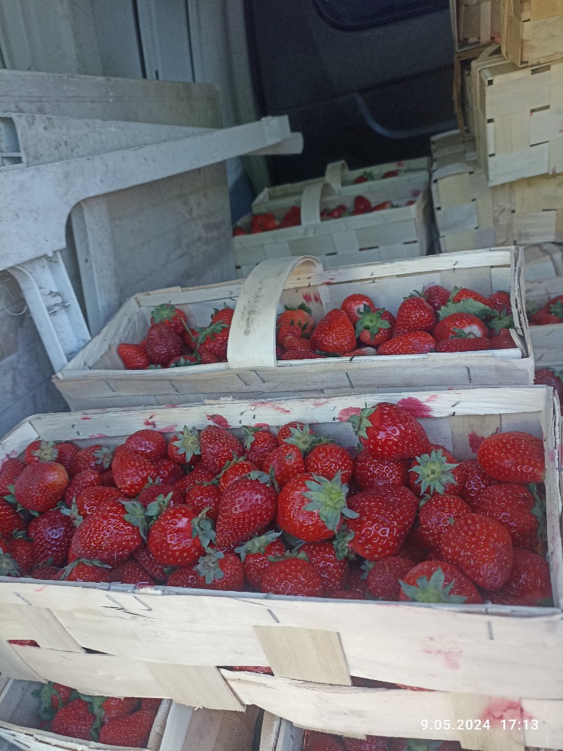 Hello, I offer field and tunnel strawberries in large quantities, as well as raspberries, blackberries, blueberries, cherries and sour cherries, generally most