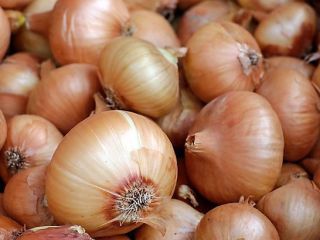 I sell maximum caliber onions in trucks. It is