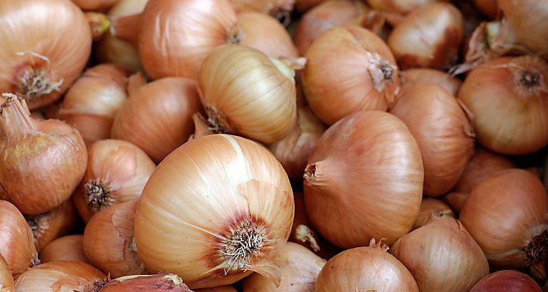 I sell maximum caliber onions in trucks