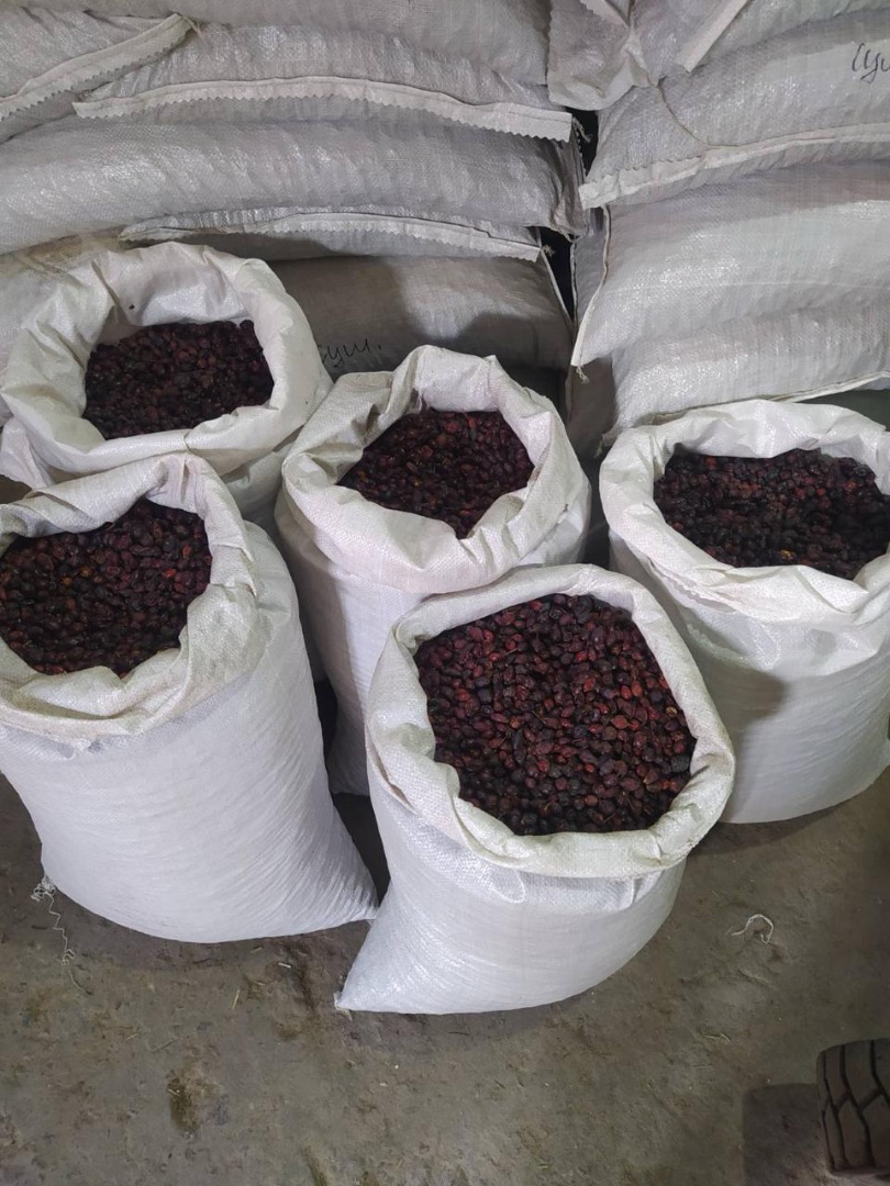 Rosa Canina (rose hip) “Globe” Introducing our dried Rosa canina(rose hip): 400 tons available in Odessa ready to ship