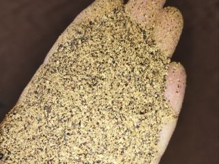 Rapeseed meal, loose, 34-37% Protein, bulk, min 22t. Price