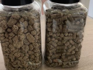 Sunflower meal from 39% Protein, loose, price with Transport