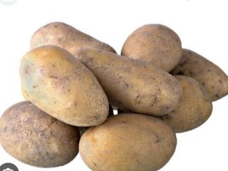 Potato from Montenegro