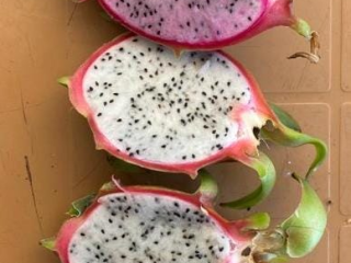 High quality dragon fruit will be available in June.