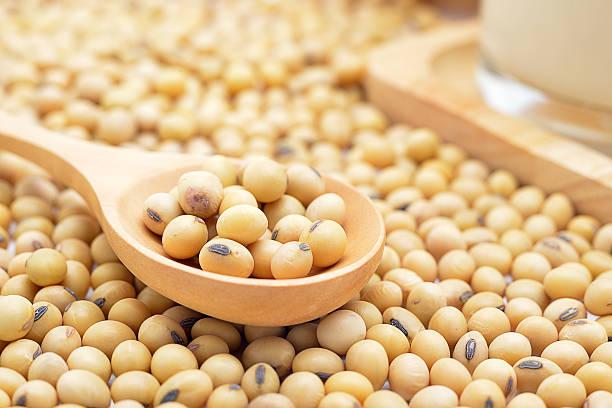 Agro cars LTD offers good quality soybeans of Ukrainian origin: -We have all quality certificates -Packing is negotiable (loose or big bag) -Price is