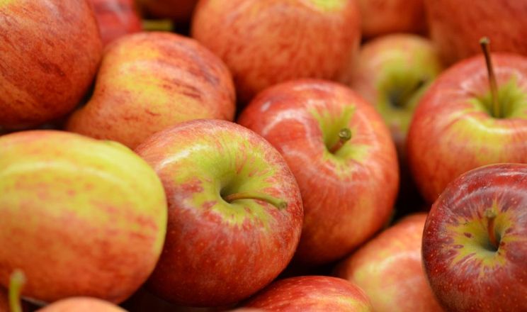 Agro cars LTD offers apples of various varieties of Ukrainian origin: -We also offer different sizes -Packing is negotiable -Price is negotiable FCA/DAP Please