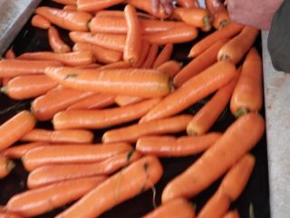 We can supply Carrots in bags of 10-15-25 or