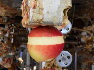 Hello, we are a factory that peels apples. I'm