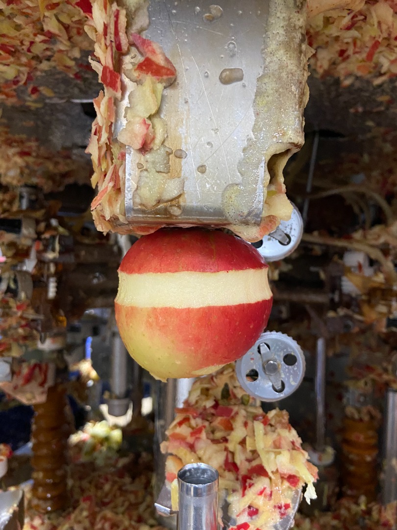 Hello, we are a factory that peels apples