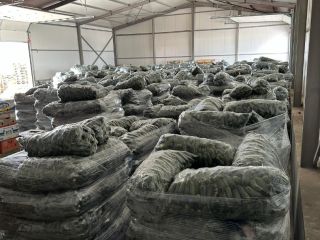 We wholesale Romanian cucumbers, both domestically and internationally (in