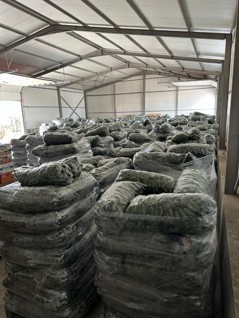 We wholesale Romanian cucumbers, both domestically and internationally (in large quantities)