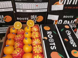 Valencia oranges from Egypt Caliber 64, 72, 80, 88