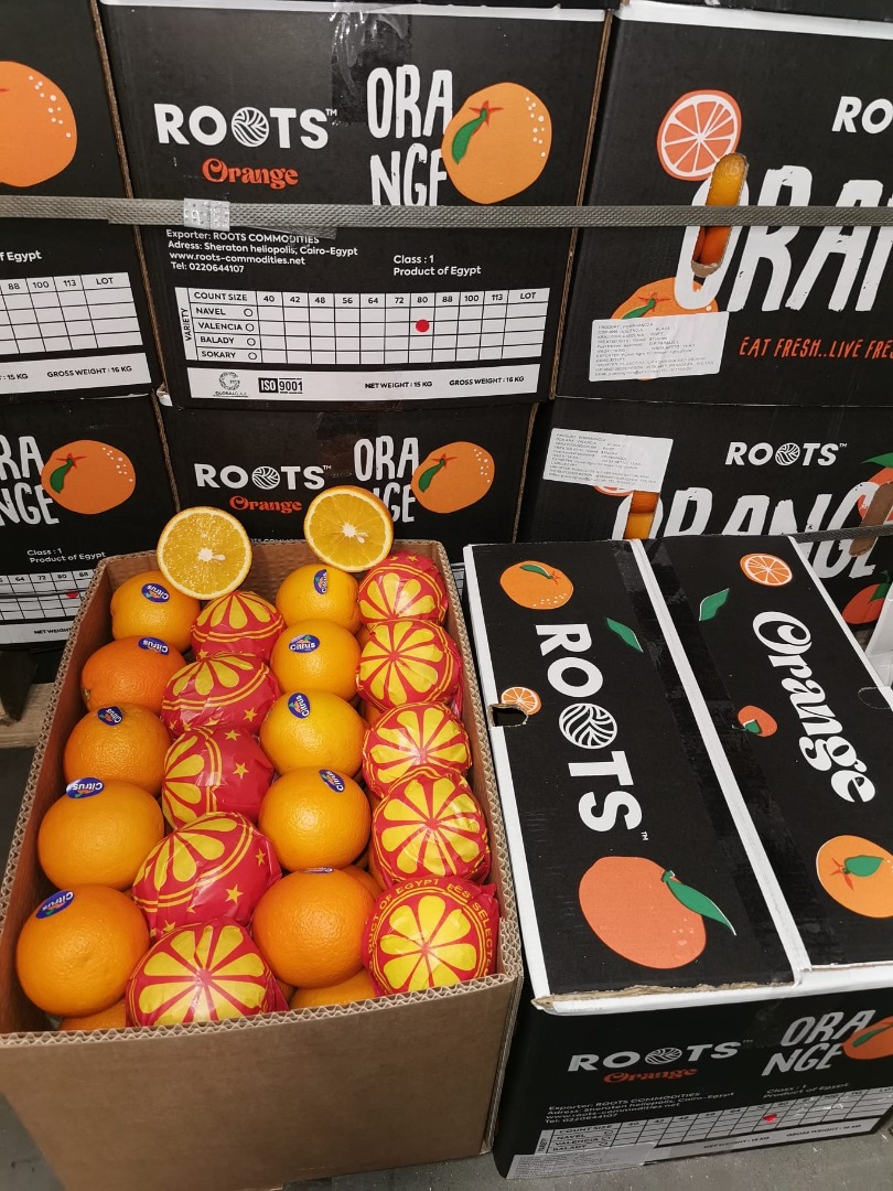 Valencia oranges from Egypt Caliber 64, 72, 80, 88 100 containers available Wholesale only whole shipment