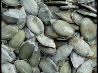 We offer pumpkin seeds for sale. We also offer