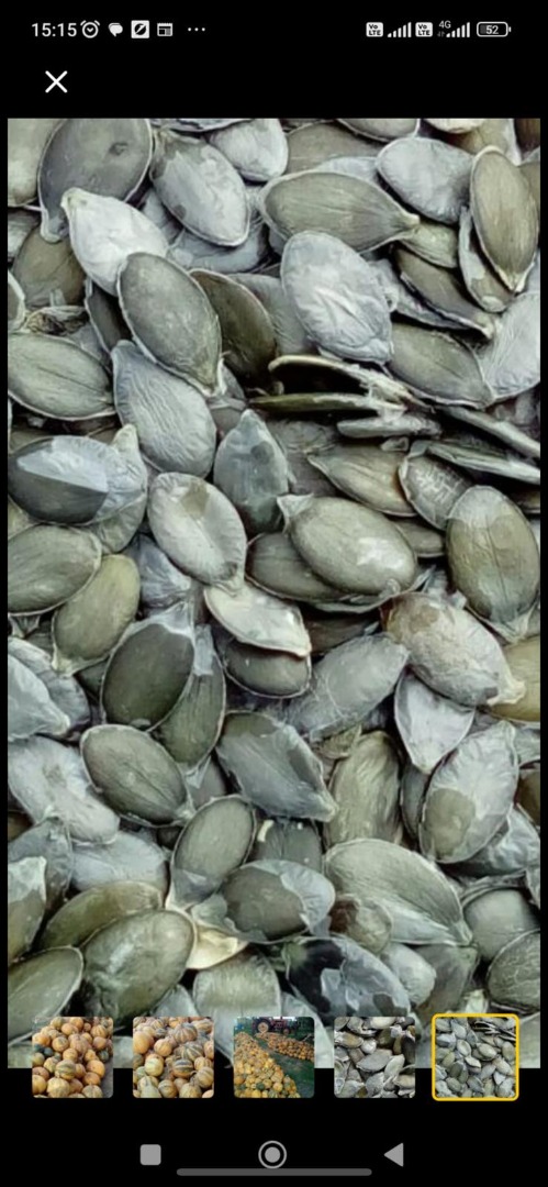 We offer pumpkin seeds for sale