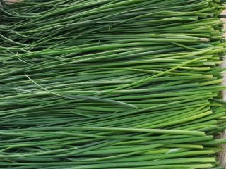 I will sell chives in bunches or per kg,