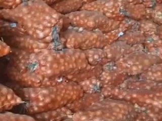 We sell yellow onions, currently 500 tons, size 5-7,