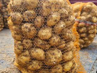 Hello, I have large quantities of new potatoes, please
