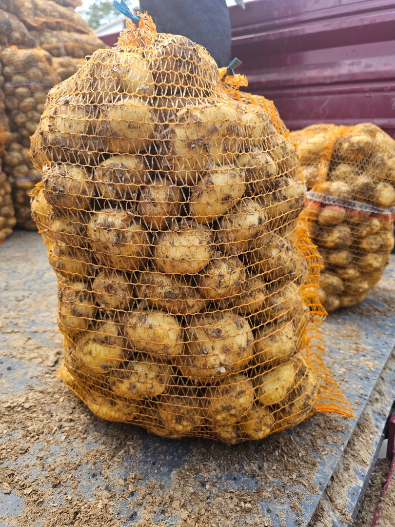 Hello, I have large quantities of new potatoes, please contact me if you are interested