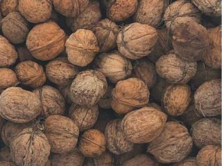 I will sell walnuts in shell.