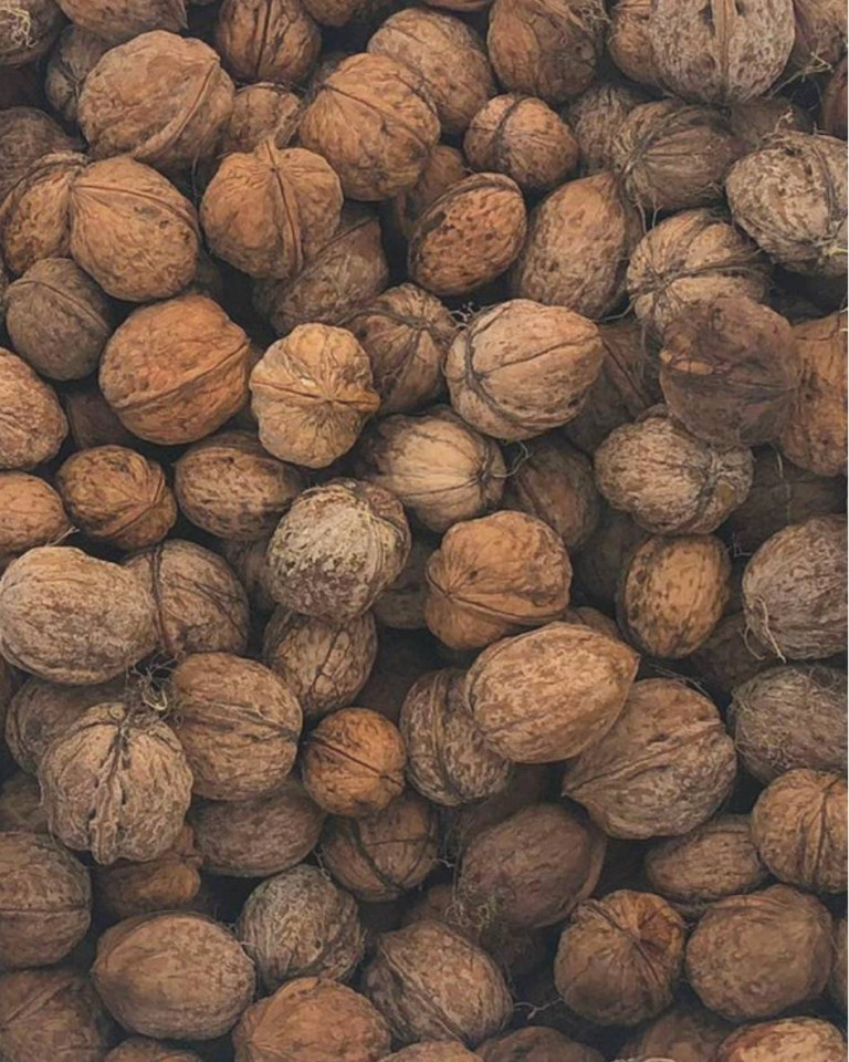 I will sell walnuts in shell