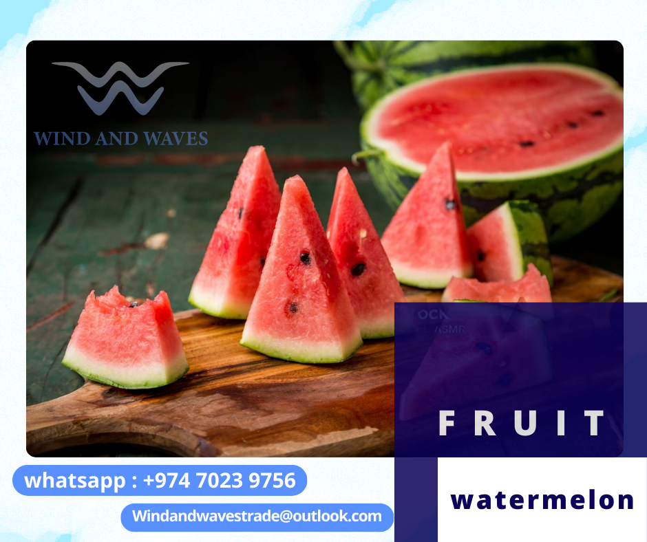 Wind and Waves Trade: Exporting Premium-Quality Watermelons at Competitive Prices! Discover the freshness of Tunisia with our juicy and succulent watermelons