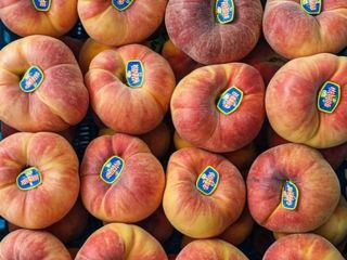 Premium Tunisian Peaches - Exporting Excellence Worldwide Our company