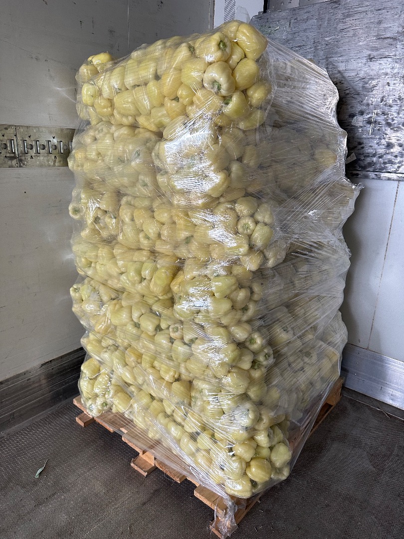 ❗️We sell fresh Romanian vegetables wholesale! ❗️We sell fresh Romanian vegetables wholesale! ☎️ More details on whatsapp at phone number ☎️More details on