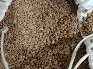 I will sell white sorghum, purity 98%, humidity up