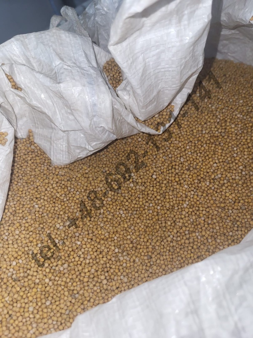 We would like to offer you the purchase of Elena white mustard seeds - harvest in 2023 Origin - Belarus Purity - 99.80% Mustard is packed in big bags Price 560