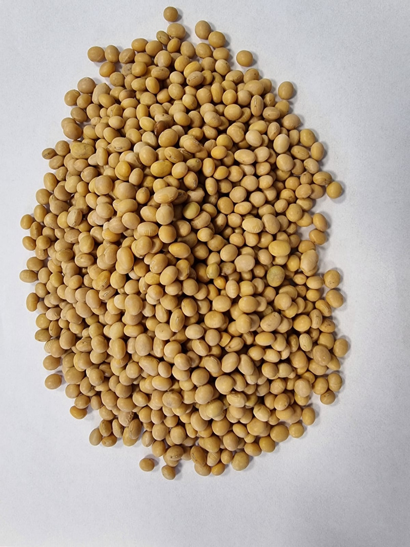 Offer for fodder soya beans Price negotiable offer for 200 tonnes
