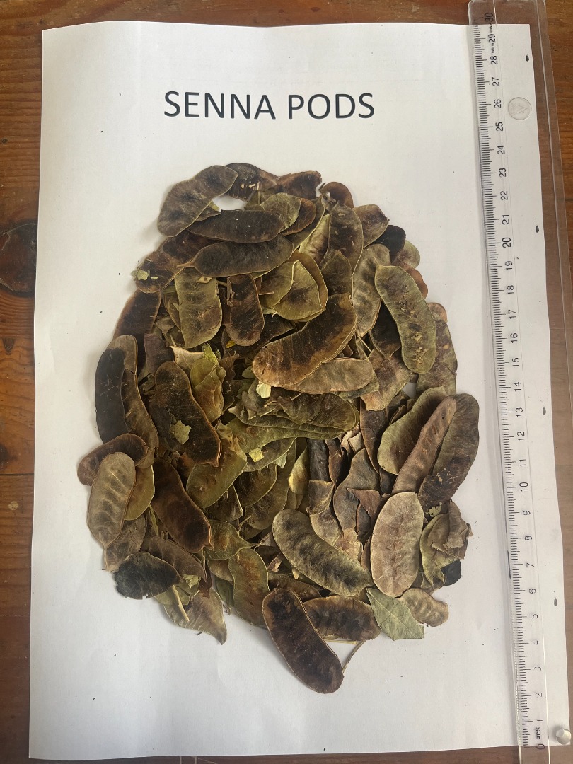 We offer Senna Pods