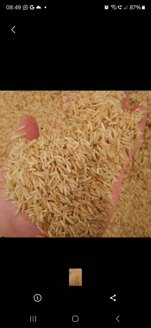 Basmanti rise / Basmanti rice Offer for basmanti rice, 150 tons, price to be agreed, please contact me Ofer for Basmanti Rice, 150 tons, price to be agreed