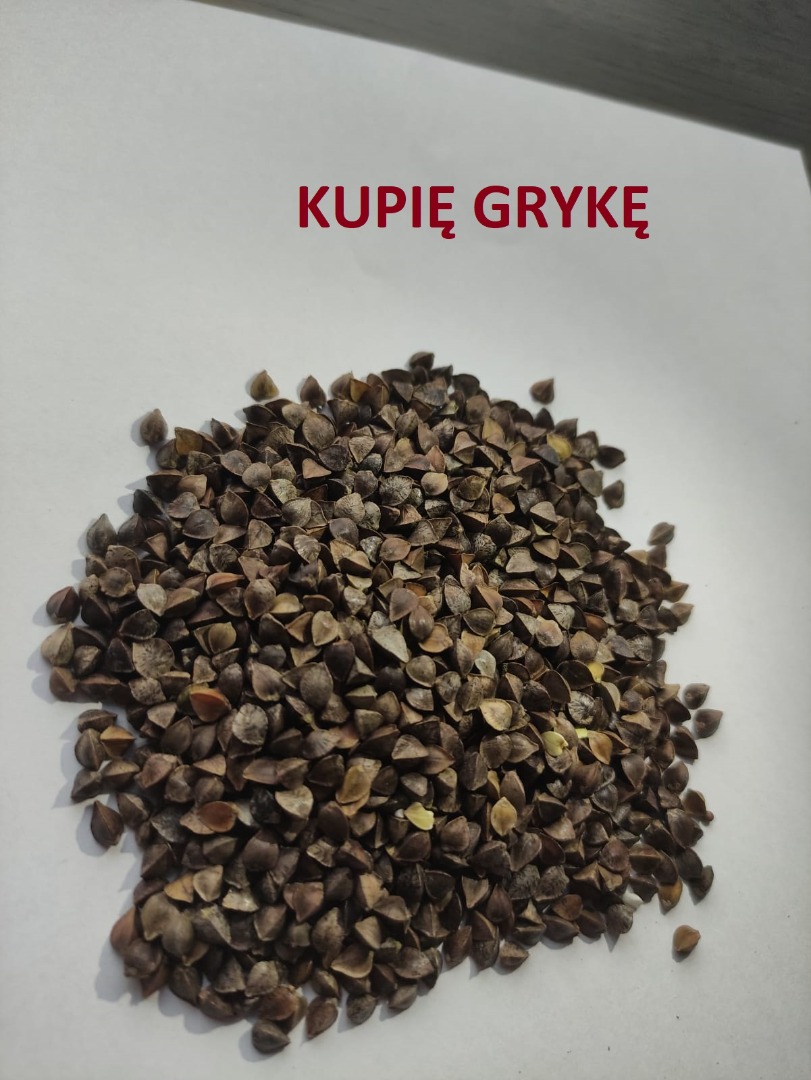 Hello, I will buy buckwheat and yellow millet for production