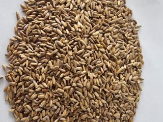 I will sell milk thistle, please contact me, price
