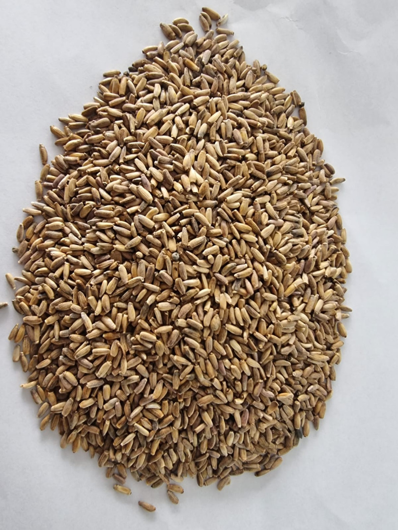 I will sell milk thistle, please contact me, price to be agreed