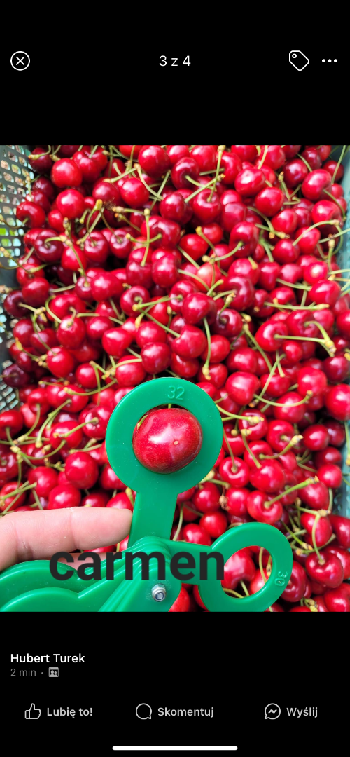 I am selling a large cherry tree