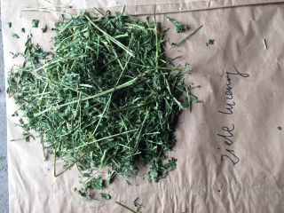 I will sell alfalfa herb dried in a dryer
