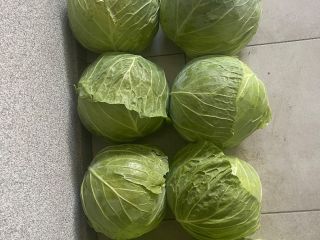 I will sell up to 50 tons of white