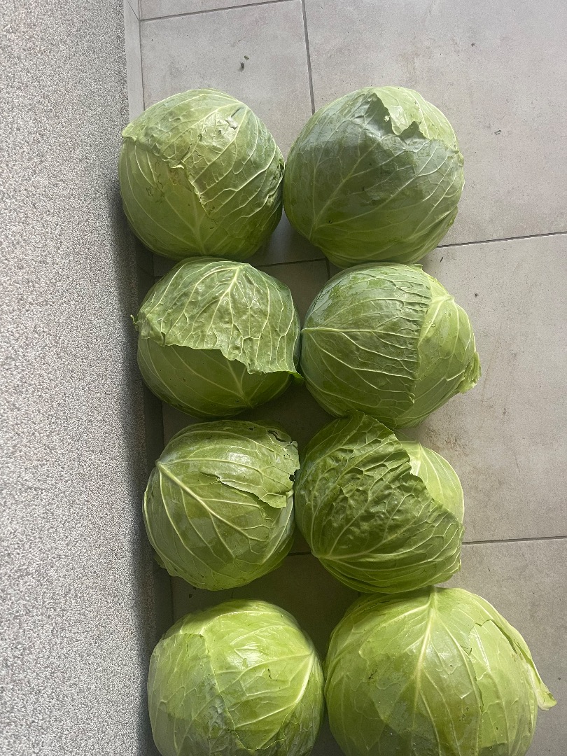 I will sell up to 50 tons of white cabbage