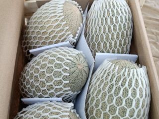 The export company "MUSAEVS EXIM CONSULTING" in Uzbekistan offers