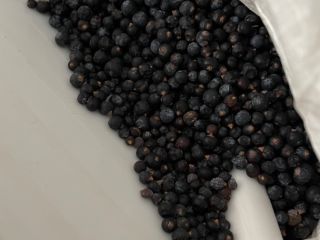 Juniper fruit -Juniperus communis. Sorted by color and size