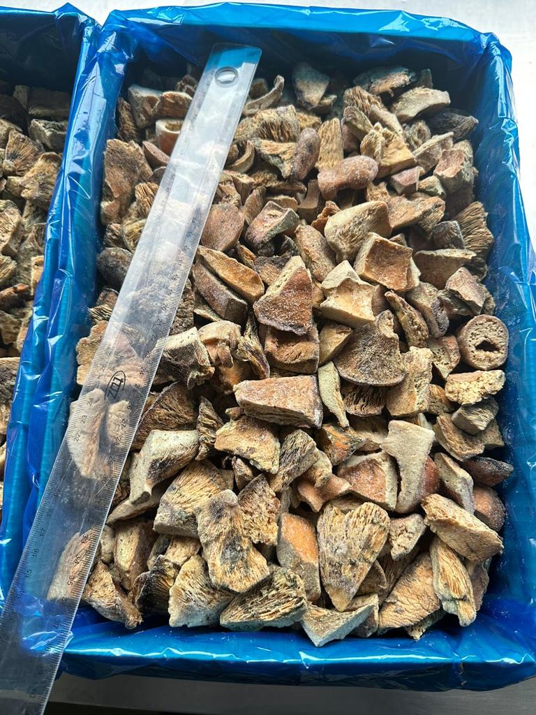 Frozen Rydz cubes, industrial class ll - 7,500 kg net