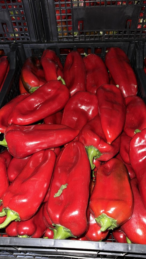 We are a company with private capital, fully Romanian, which carries out its activity in the field of import and export of fruits and vegetables