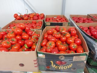from Matca village, the largest agricultural area, we sell